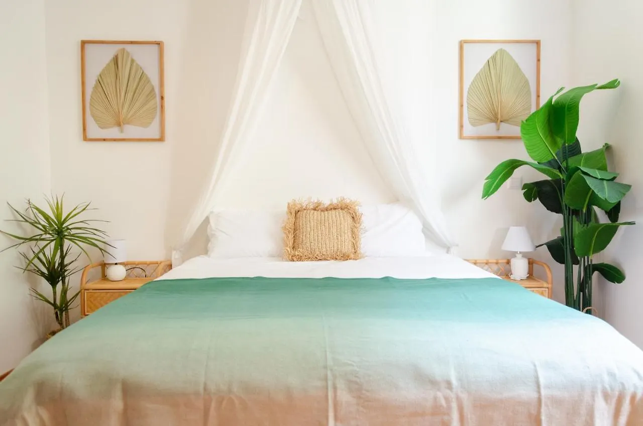 Unique Tropical Style Penthouse With A Dreamy View - By Portugal Collection Apartment Calheta